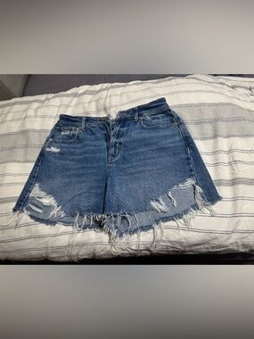 American Eagle Outfitters Distressed Blue Denim Cutoff Shorts